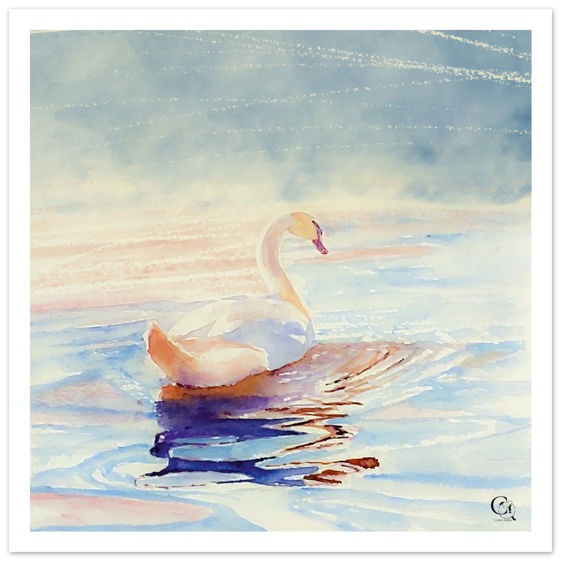 Grace in Stillness Swan Canvas Print