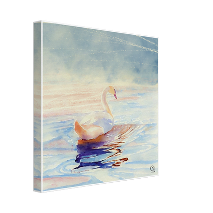 Grace in Stillness Swan Canvas Print