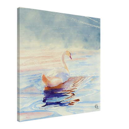Grace in Stillness Swan Canvas Print