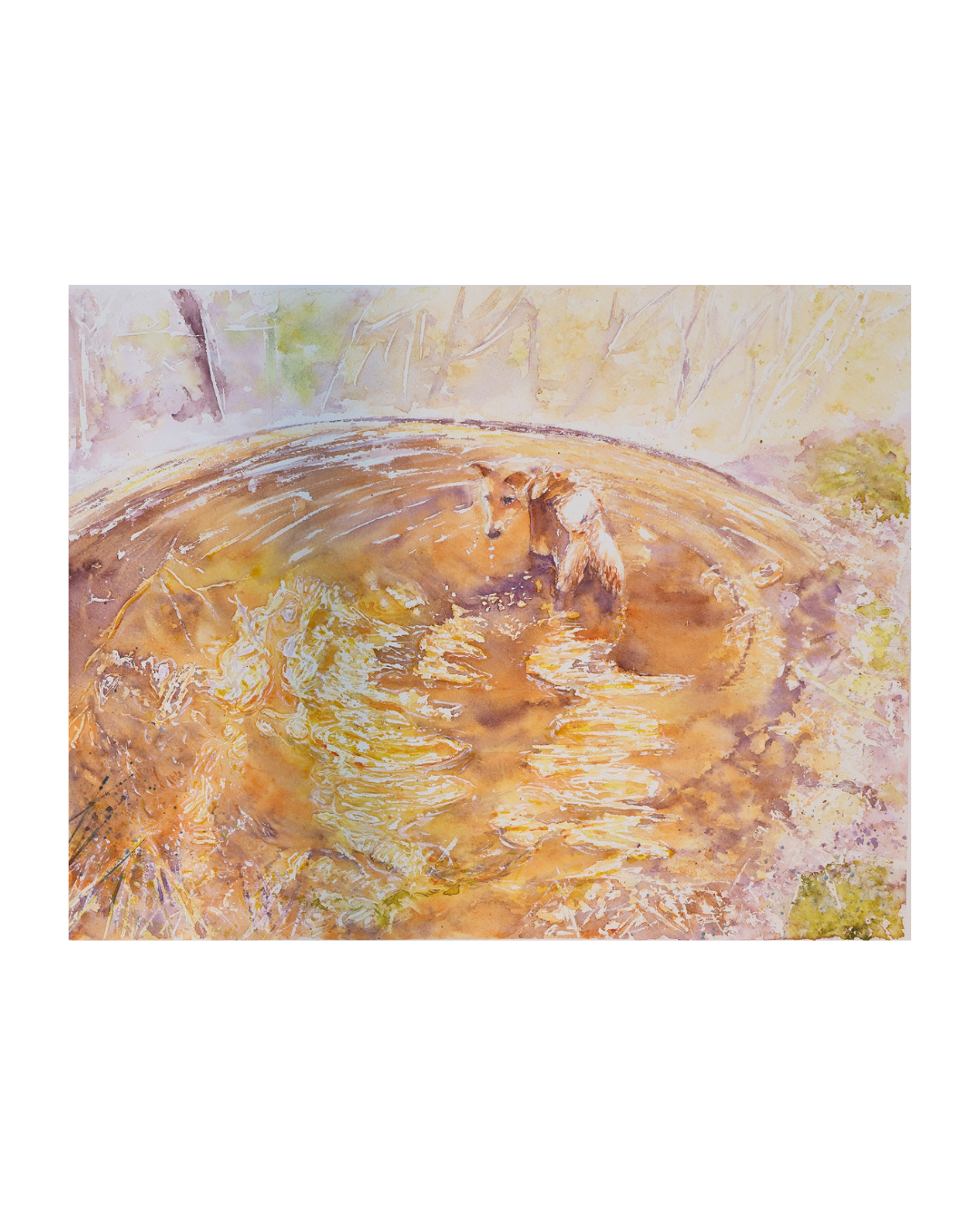 Reflections of a street dog: Original Watercolor