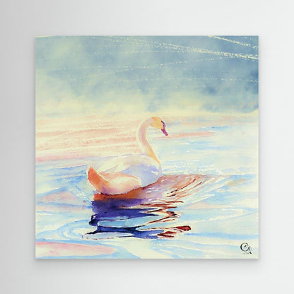 Light In Motion: Square Edit (US).