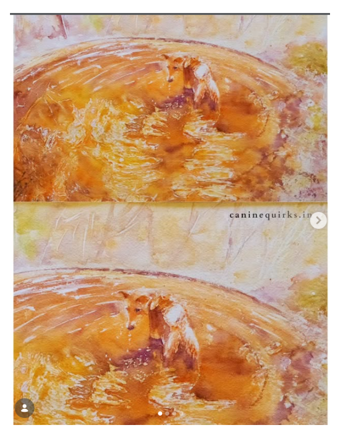 A watercolor-style artwork showing a small dog standing in shallow water, with a warm orange-brown shoreline and pale sky. The image appears to be a screenshot or collage with two similar panels and a visible 'caninequirks.