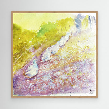 Waddle On: Square Edit (US).